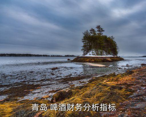 青島啤酒公司2015納稅計(jì)算