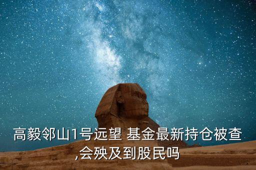 高毅鄰山1號(hào)遠(yuǎn)望 基金最新持倉被查,會(huì)殃及到股民嗎