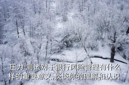  壓力 測試對于銀行風(fēng)險管理有什么樣的重要意義,談?wù)勀愕睦斫夂驼J識