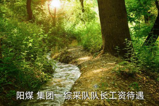 陽(yáng)煤集團(tuán)不開資