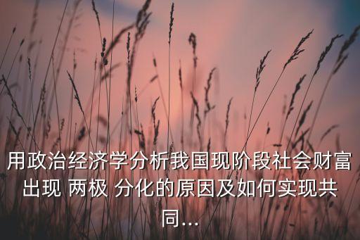 用政治經(jīng)濟(jì)學(xué)分析我國現(xiàn)階段社會財富出現(xiàn) 兩極 分化的原因及如何實(shí)現(xiàn)共同...