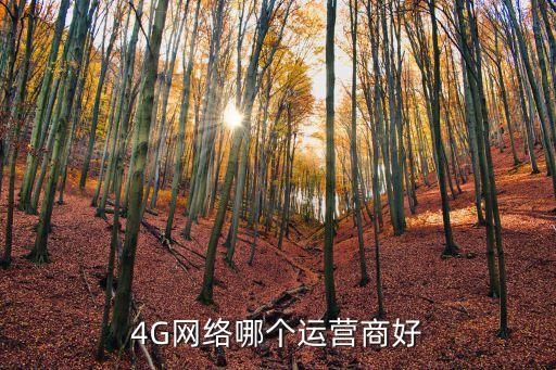 4G網(wǎng)絡(luò)哪個(gè)運(yùn)營(yíng)商好