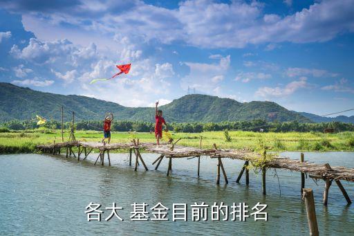 寶盈泛銀?；?天天基金寶盈泛沿海