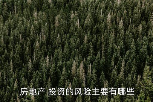  房地產 投資的風險主要有哪些