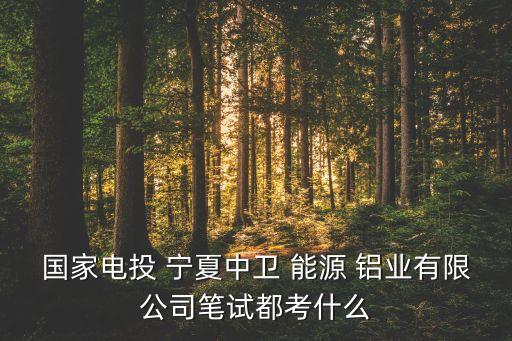 寧夏能源鋁業(yè)集團公司,丁吉林寧夏能源鋁業(yè)集團公司