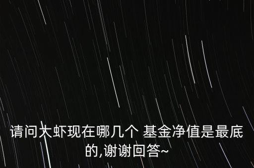 請問大蝦現在哪幾個 基金凈值是最底的,謝謝回答~