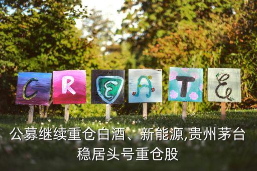公募繼續(xù)重倉(cāng)白酒、新能源,貴州茅臺(tái)穩(wěn)居頭號(hào)重倉(cāng)股