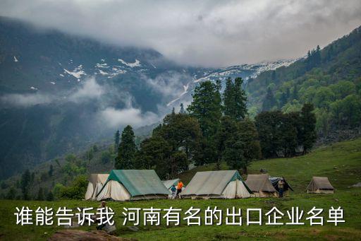 中國(guó)河南國(guó)際合作集團(tuán)有限公司年報(bào),威海市聯(lián)橋國(guó)際合作集團(tuán)有限公司