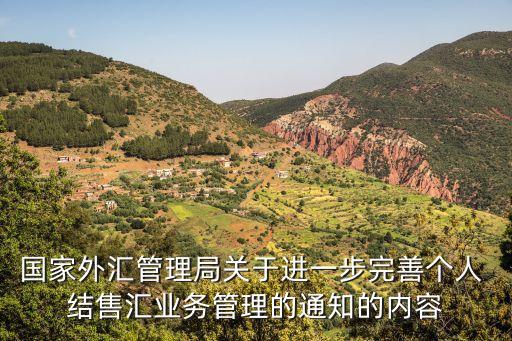 國家外匯管理局關(guān)于進(jìn)一步完善個(gè)人 結(jié)售匯業(yè)務(wù)管理的通知的內(nèi)容