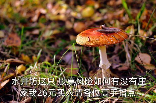  水井坊這只 股票風(fēng)險(xiǎn)如何有沒(méi)有莊家我26元買入請(qǐng)各位高手指點(diǎn)