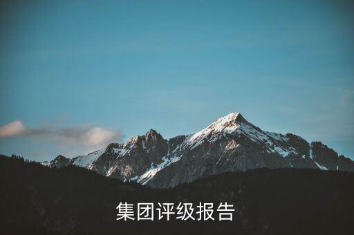 杉杉集團(tuán)評級報告