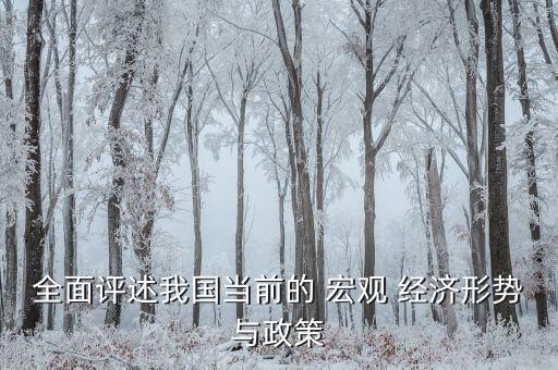 全面評(píng)述我國(guó)當(dāng)前的 宏觀 經(jīng)濟(jì)形勢(shì)與政策