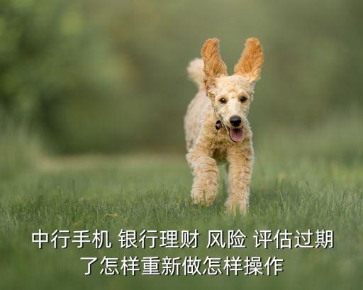中行手機(jī) 銀行理財 風(fēng)險 評估過期了怎樣重新做怎樣操作