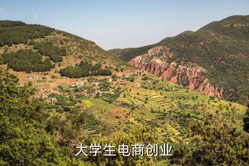 大學(xué)生電商創(chuàng)業(yè)