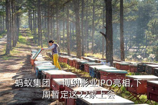 螞蟻集團(tuán)、 博納影業(yè)IPO亮相,下周暫定這22家上會
