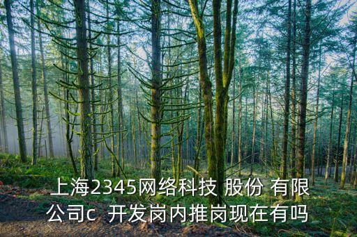 上海金頤實業(yè)投資股份有限公司