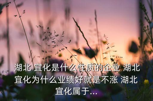  湖北 宜化是什么性質的企業(yè) 湖北 宜化為什么業(yè)績好就是不漲 湖北 宜化屬于...