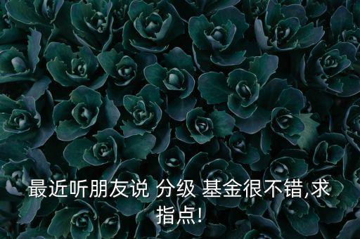 最近聽(tīng)朋友說(shuō) 分級(jí) 基金很不錯(cuò),求指點(diǎn)!