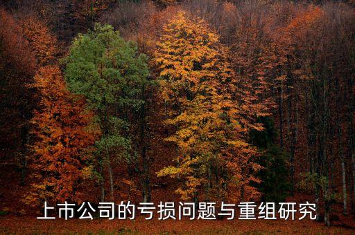 中國(guó)上市公司的虧損問題與重組研究