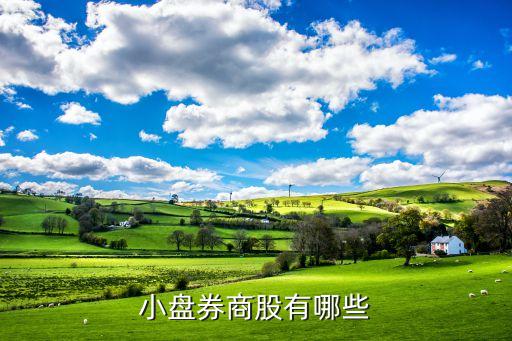 最小盤(pán)股票排名,創(chuàng)業(yè)板小盤(pán)股票一覽表