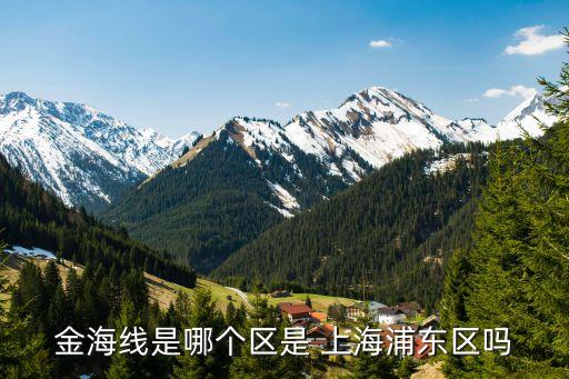 金海線(xiàn)是哪個(gè)區(qū)是 上海浦東區(qū)嗎