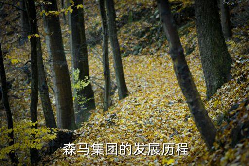 溫州市森馬企業(yè)有限公司,浙江森馬電子商務有限公司