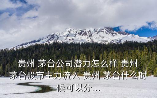 貴州茅臺(tái)的股票優(yōu)勢,600519貴州茅臺(tái)股票