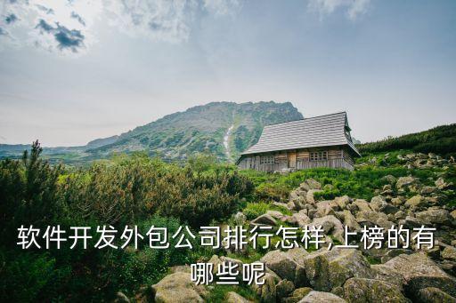 軟件開(kāi)發(fā)外包公司排行怎樣,上榜的有哪些呢