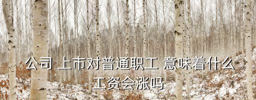  公司 上市對(duì)普通職工 意味著什么工資會(huì)漲嗎