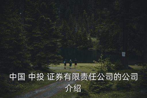 中國 中投 證券有限責任公司的公司介紹