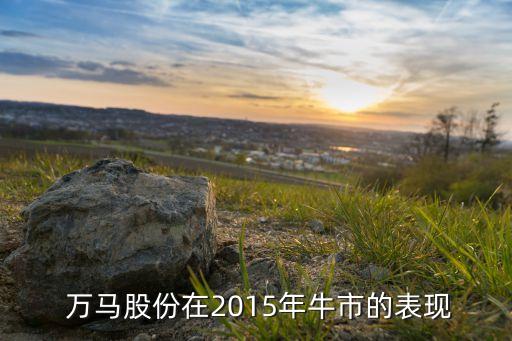 萬馬高分子有限公司,上海萬馬匯網絡科技有限公司