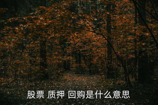 券商股票質(zhì)押式回購(gòu)交易業(yè)務(wù)