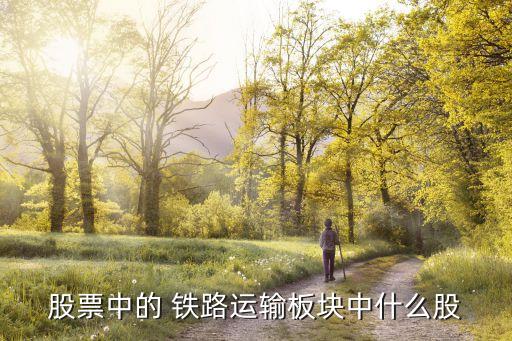 美國(guó)鐵路上市公司,鐵路上市公司龍頭股