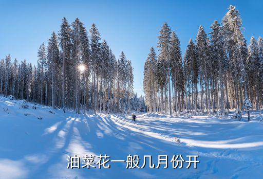  油菜花一般幾月份開(kāi)