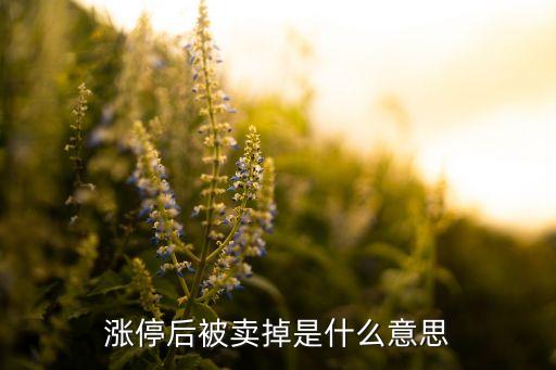 股票漲了就賣(mài)