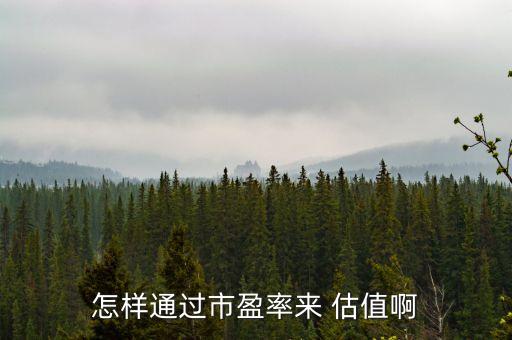 怎樣通過(guò)市盈率來(lái) 估值啊