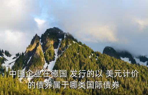 中國企業(yè)在德國 發(fā)行的以 美元計(jì)價(jià)的債券屬于哪類國際債券