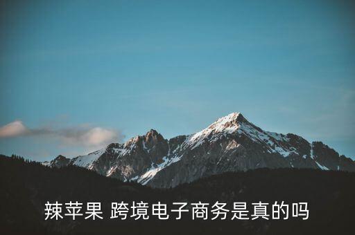 上?？缇畴娚腆w驗(yàn)店,跨境電商實(shí)戰(zhàn)平臺(tái)體驗(yàn)報(bào)告