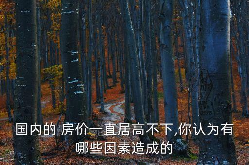 國內的 房價一直居高不下,你認為有哪些因素造成的