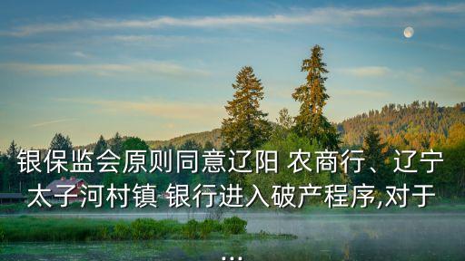 銀保監(jiān)會(huì)原則同意遼陽 農(nóng)商行、遼寧太子河村鎮(zhèn) 銀行進(jìn)入破產(chǎn)程序,對(duì)于...