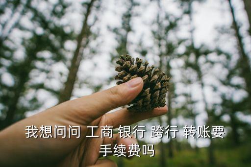 我想問問 工商 銀行 跨行 轉賬要 手續(xù)費嗎