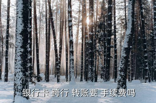工商銀行跨行轉賬手續(xù)費,銀聯支付手續(xù)費是多少