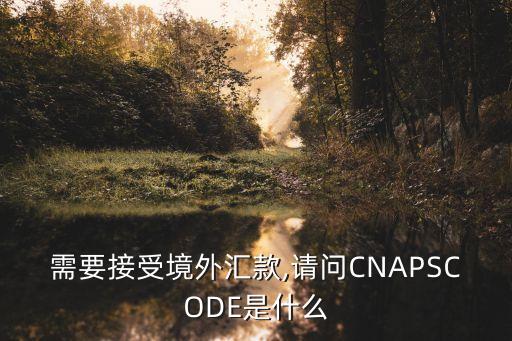 需要接受境外匯款,請(qǐng)問CNAPSCODE是什么