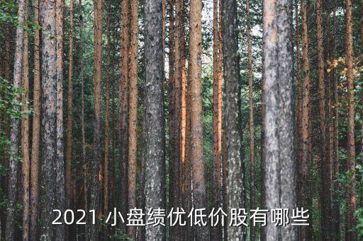 2021 小盤績優(yōu)低價(jià)股有哪些