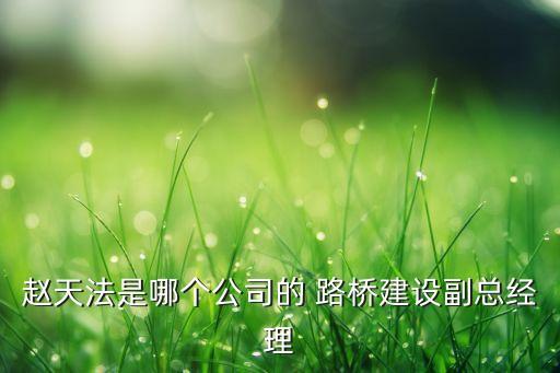 趙天法是哪個公司的 路橋建設副總經理