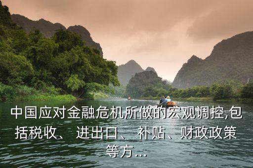 中國應對金融危機所做的宏觀調(diào)控,包括稅收、 進出口、 補貼、財政政策等方...