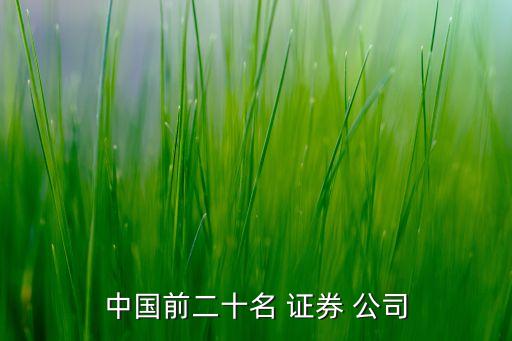 中國(guó)前二十名 證券 公司