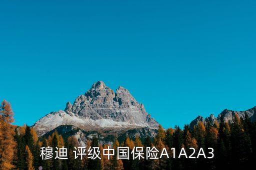 中國保險(xiǎn)公司評(píng)級(jí),保險(xiǎn)公司評(píng)級(jí)標(biāo)準(zhǔn)ABCD