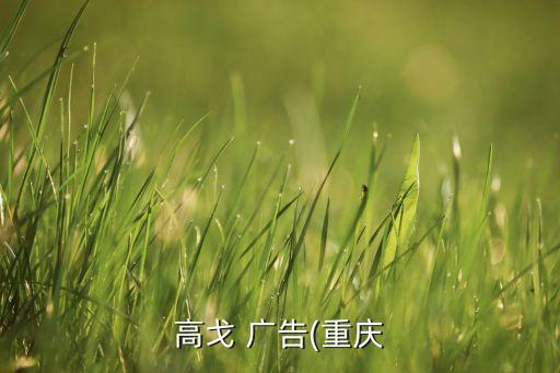 2009年度中國廣告長(zhǎng)城獎(jiǎng),長(zhǎng)城葡萄酒2009廣告