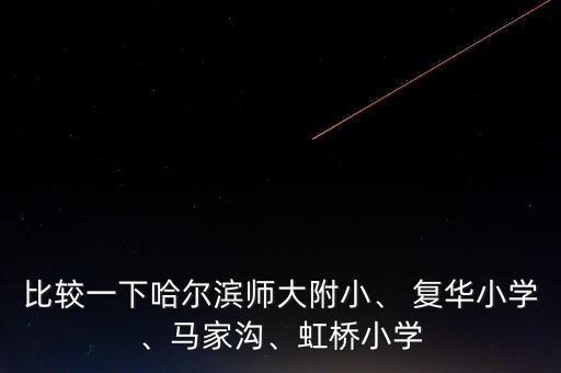 復華中國白皮書